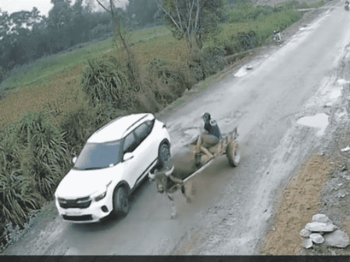 Tránh trâu - Mất lái lao xuống mương. Bảo hiểm có đền không?